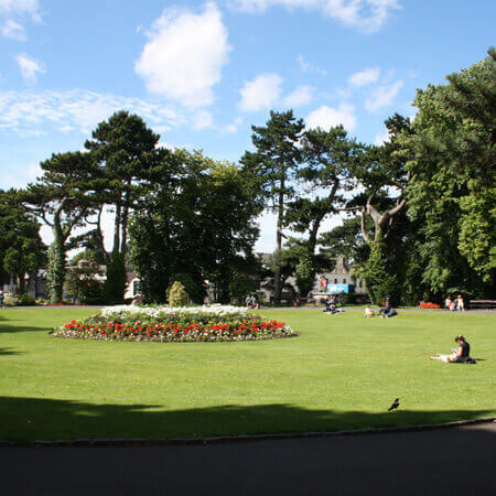 landscape view of tress and flowers in harold's cross park