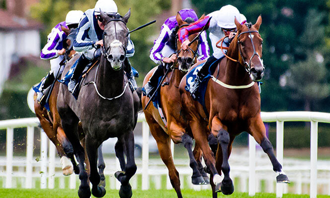 horse racing at Leopardstown Racecourse