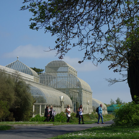 The Bots - The National Botanic Gardens, Glasnevin, Dublin.