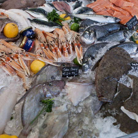 a close up shot of the fish and seafood