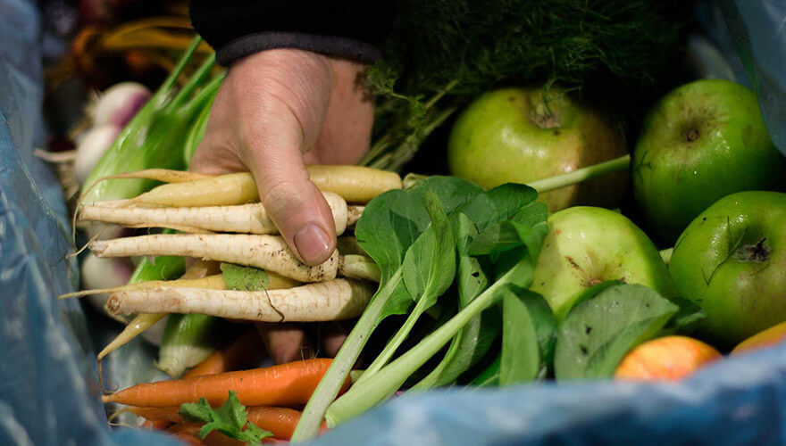 a close up of the fresh parsnips, carrots, leaves and other produce at sprout