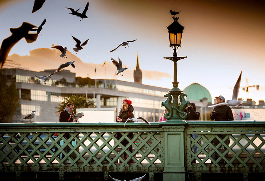 People and seagulls at Grattan Bridge with Dublin City Council Civic Offices, Wood Quay in the background.