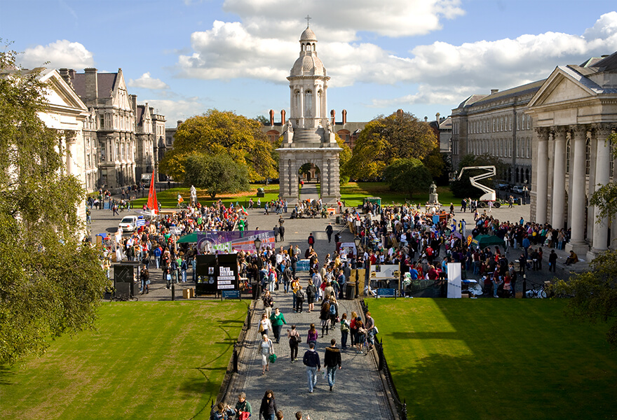 World class teachers: Professor Aoife McLysaght, geneticist - Image: TCD.