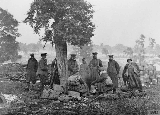 uniformed troops stand at tree in turkish countryside