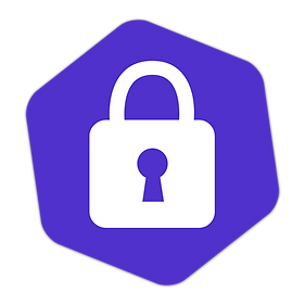 data privacy icon